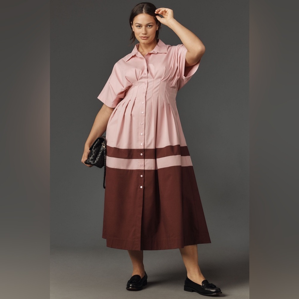 Anthropologie Pink and Brown Midi Dress